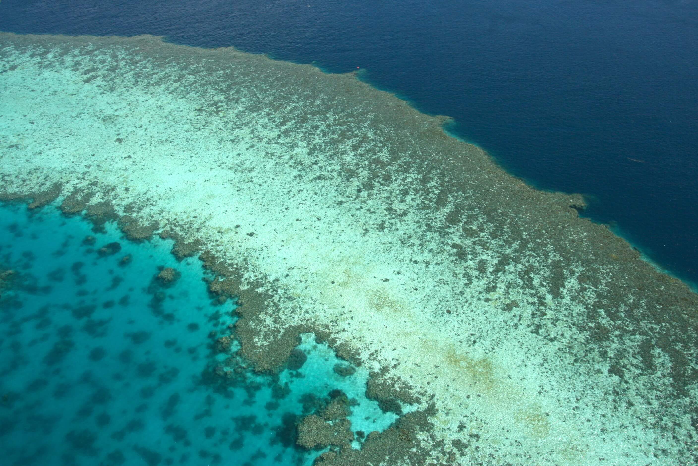 grande barrière de corail australie_SOPHIE F